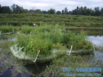 廢舊塑料變身生態(tài)小島 環(huán)保材料的生態(tài)奇跡
